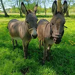 Kukulka Nad Rzeczka Kulki