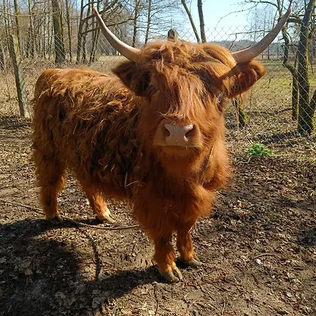 Kukulka Nad Rzeczka *